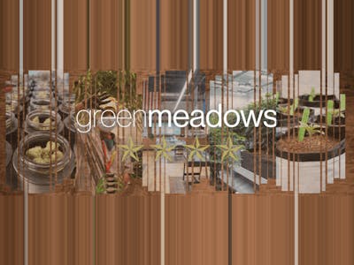 420 Green Meadows Deal