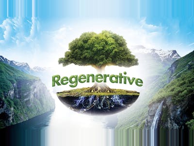 420 Regenerative Deal
